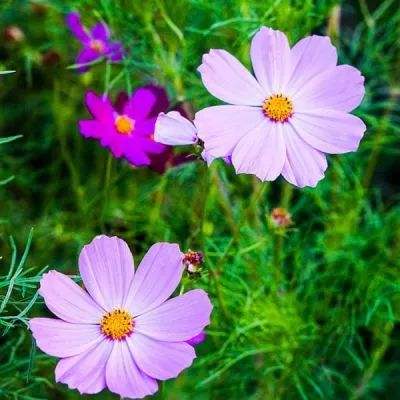 星空体育2024下载app下载截图